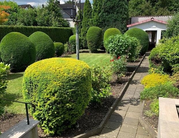 Schöne 2 Zimmer Wohnung in Mülheim-Styrum (Zu vermieten) - Foto 1
