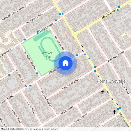 22 Walker Road, Point Chevalier, Auckland City