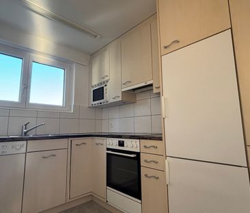 3.5 Zimmer, EG - Photo 2