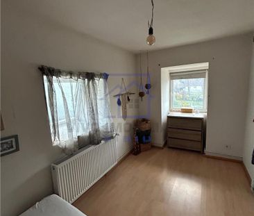 Casa de inchiriat in Sibiu - 6 camere, teren 1030 mp, pet friendly,... - Fotografie 6