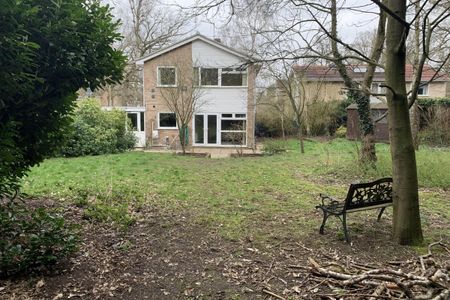 Woodlands Way, Mildenhall, BURY ST. EDMUNDS - Photo 3