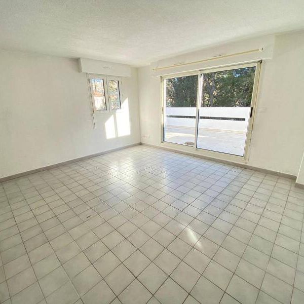 Location appartement 2 pièces 38.56 m² à Montpellier (34000) - Photo 1