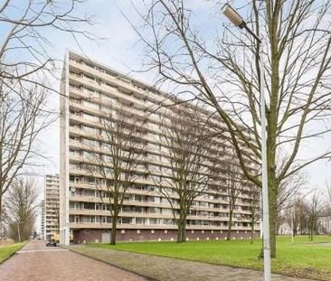 Langswater 0ong, 1069 Amsterdam, Nederland - Photo 2