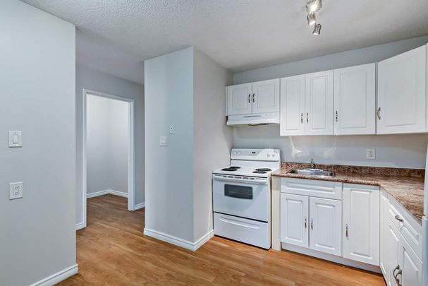 Renovated Suite - 1 Bedroom - Photo 1