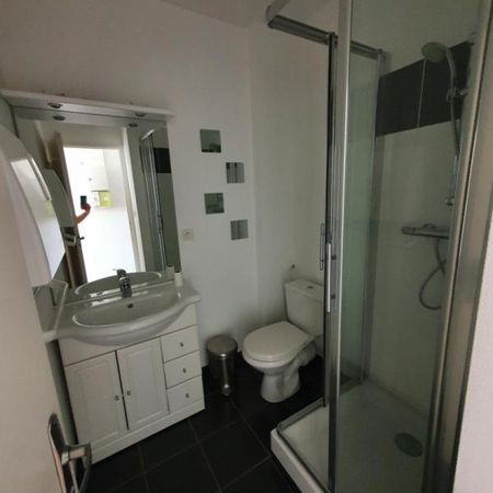 Location Appartement 1 pièce Meublé 14m² NANCY 54000 - Photo 4