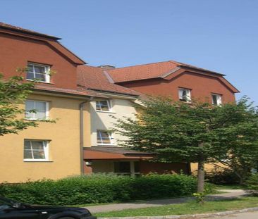 ZIERSDORF III/2 - Photo 2