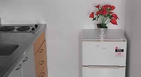 Central Auckland one bedroom apartment with pool! - Photo 2