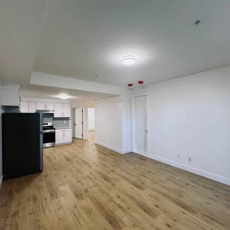 Newly Built Basement Suite on Crestview, Promontory Chilliwack BC - Photo 1