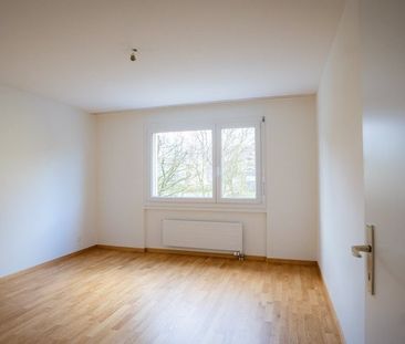 Komfortable, renovierte Wohnung an ruhiger Lage - Foto 3