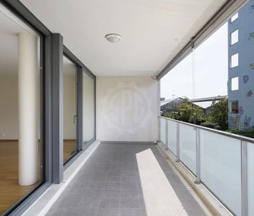 Magnifique appartement – Carouge GE - Photo 6