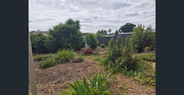 Large 3 bedroom or 4 bedroom/ Rumpus Home - Photo 1