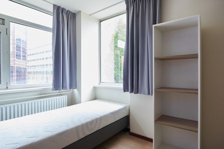 Te huur: gemeubileerde studio's voor studenten in Leiden - Foto 2