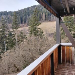 Location Appartement à ST PIERRE D ENTREMONT - Photo 5