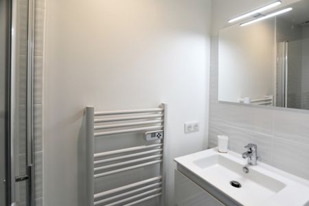 GRIFFOUL Roommate 4 Bedrooms at Toulouse - Photo 4