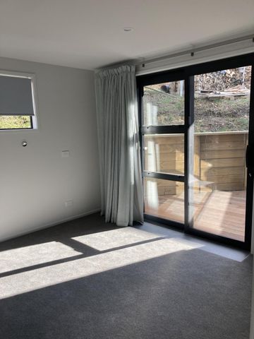 Modern Home in Prime Wanaka Location - Photo 4