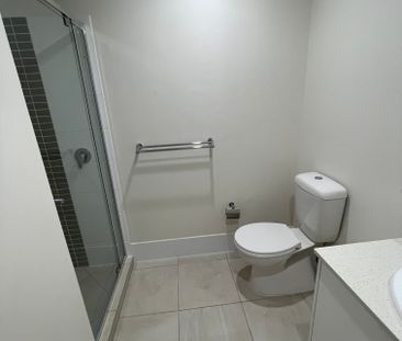 Bridgeman Downs - Photo 3