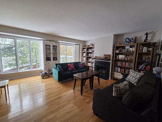 For Lease - 521 BURLEIGH Private, Cyrville - Carson Grove - Pineview, Ontario - Photo 1