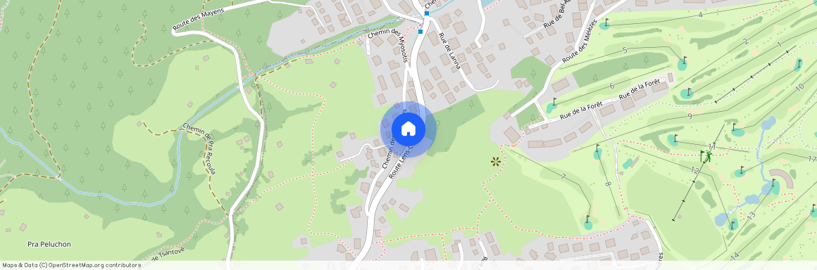 Route de Lens-Crans 26, 3963 Crans-Montana