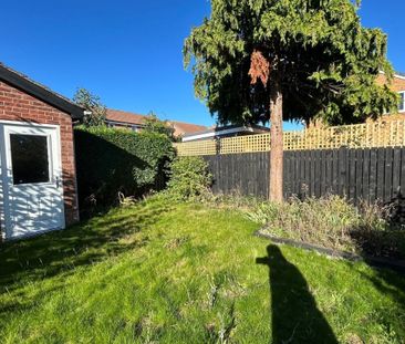 Burns Court - Photo 1