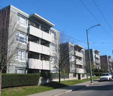 Central 1 Bedroom - Kitsilano - Photo 2