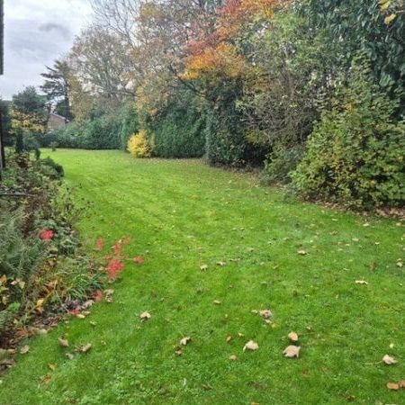 Furrows Pace, CR3, Property for rent - Photo 1