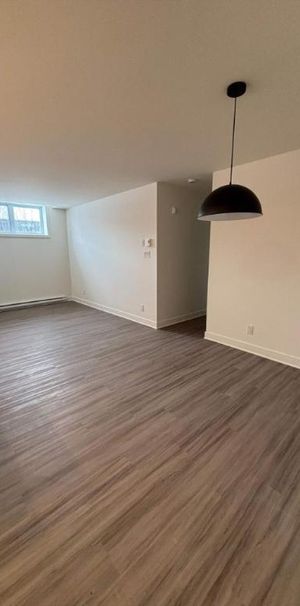 2 CH - 1 SDB - Saint-Hyacinthe - $1,450 /mo - Photo 1