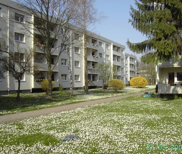 2 Zimmer, Küche, Dusche, Loggia, Tiefgarage, EG rechts - Photo 1