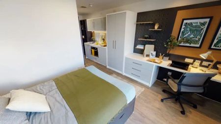 Gold Studio Plus - Photo 4