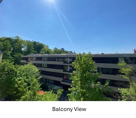 31/2-ROOM APARTMENT IN BASEL - WIDE, FURNISHED, TEMPORARY - Foto 4