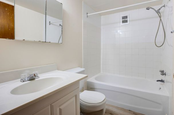 Elmwood II - Photo 1