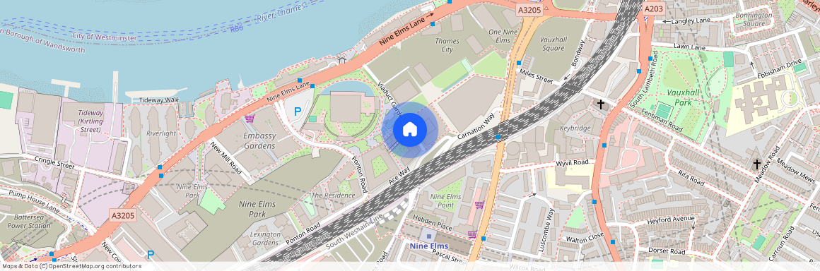 The Modern, Embassy Gardens, SW11