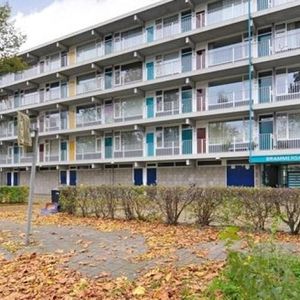 Brammershoop, 2036 BG Haarlem, Nederland - Foto 2