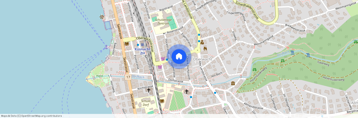 8700, Küsnacht, Oberwachtstrasse, 8