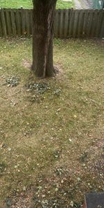 5 et 1/2 Villeray 1800$ chauffage inclus - Photo 4