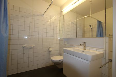 Charmante 2.5-Zimmer-Wohnung im Erdgeschoss - Foto 4
