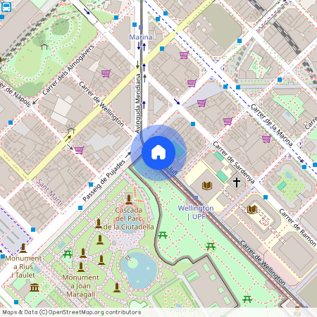 Carrer de Wellington, Barcelona, Catalonia 08005