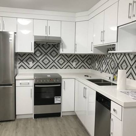 2 Bedroom BSMT in Brand New House, Laundry/Dishwasher, Braid/Sapperton - Photo 1