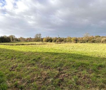 Willow Close, Alcester, B49 - Photo 6