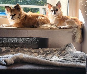 BITTE UM MITHILFE - Foto 1