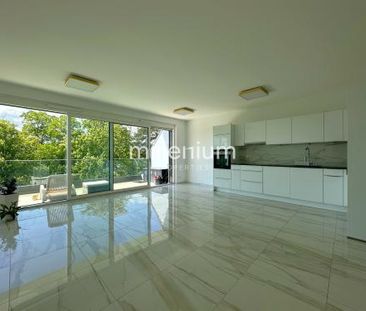 Studio meublé avec vue Mont-Blanc à Versoix - Foto 1