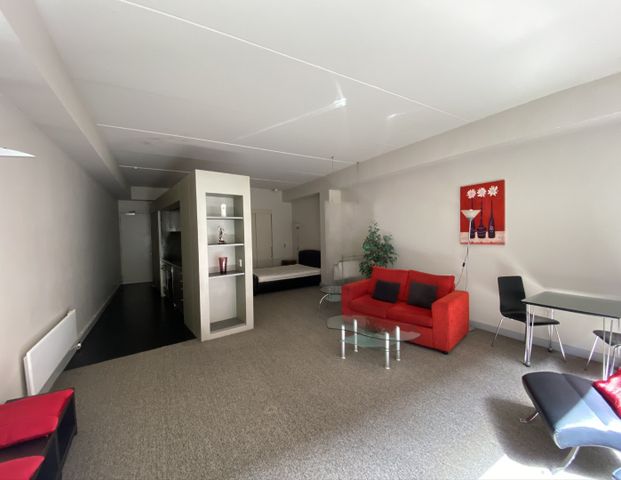 Furnished Executive Apartment in Central Wellington - Photo 1