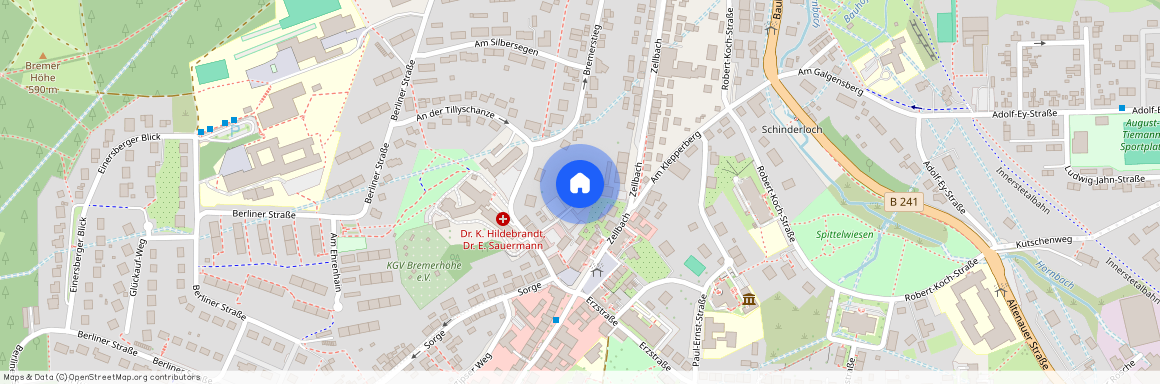 Windmühlenstrasse 8, 38678 Niedersachsen - Clausthal-Zellerfeld