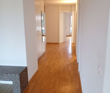 3.5 Zimmer, EG - Photo 2