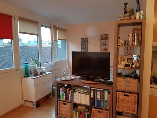 Laudongasse: Modernes Single-Apartment in toller Lage - Photo 1