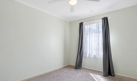 Neat and Tidy - Photo 4