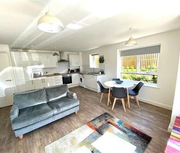 1 bedroom flat to rent - Photo 2