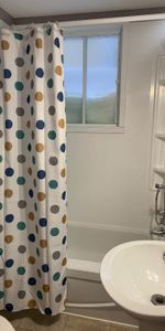 3 1/2 sous-sol de résidence privée - Photo 4