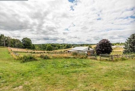 For Lease - 16804 Centreville Creek Road, Caledon, Ontario - Photo 4