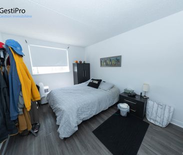 1805 de Grandville - Photo 4