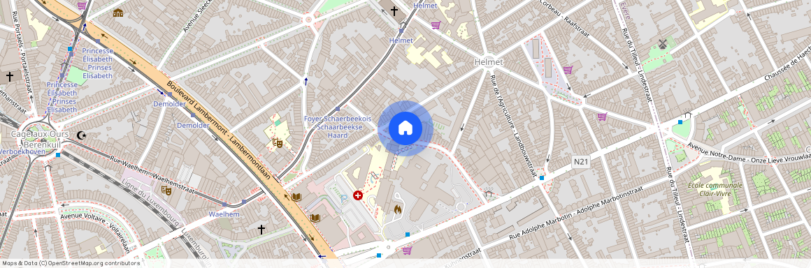 Rue du Foyer Schaerbeekois 33, 1030